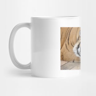 Tiger Mug